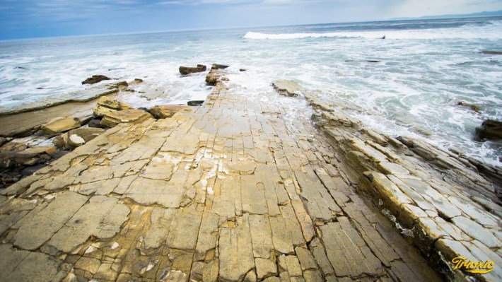 Sunken City in San Pedro. Photo by Noe Adame for L.A. TACO.