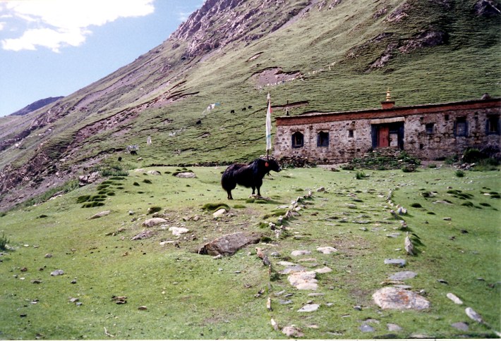 tibet291 tibet291