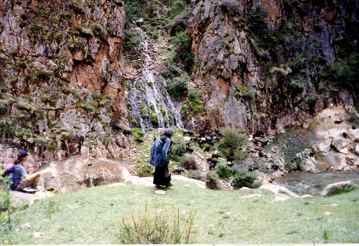tibet301 tibet301