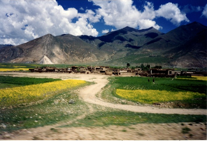 tibet571 tibet571
