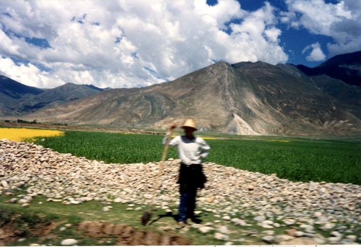 tibet591 tibet591